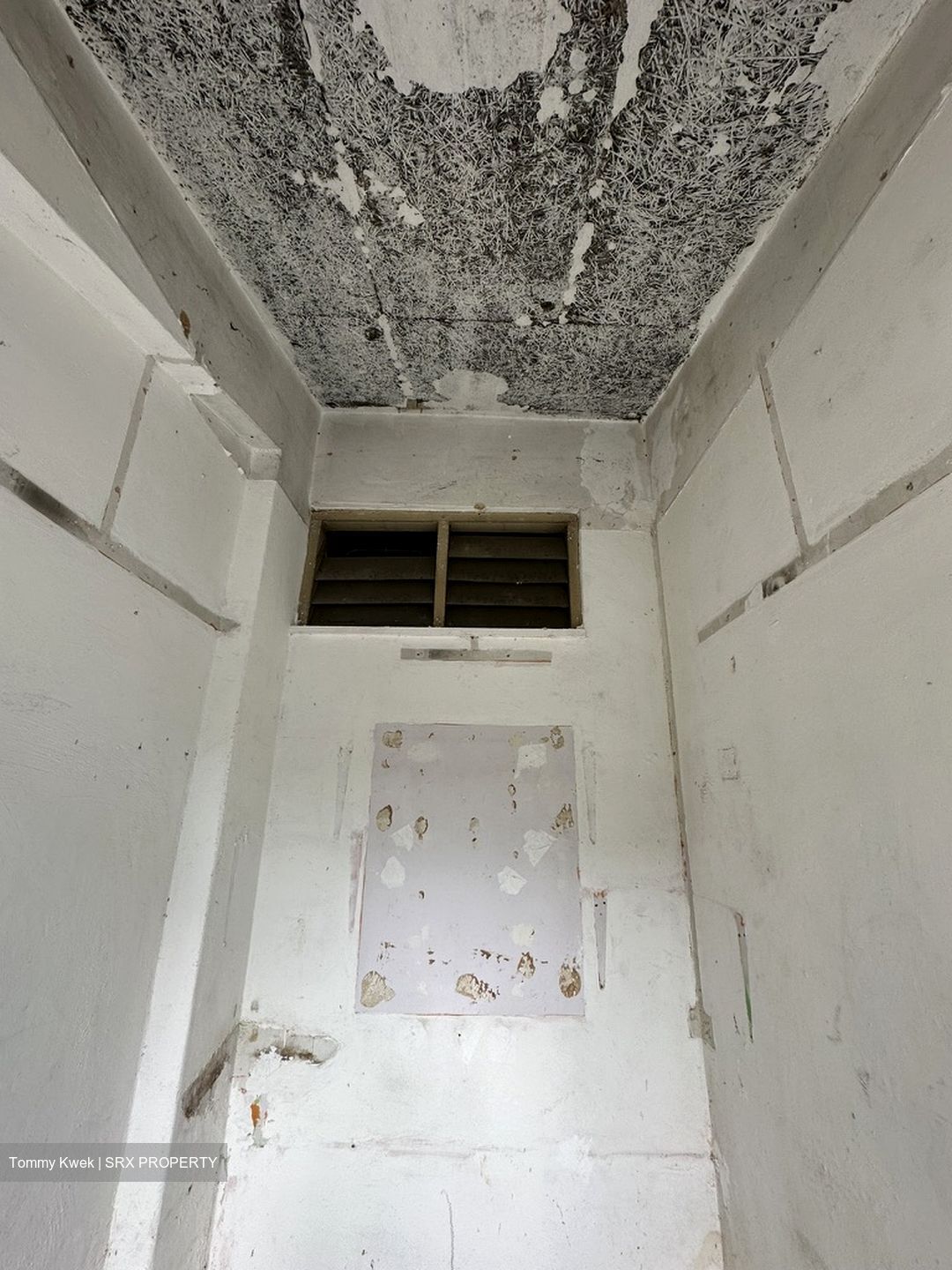 Jurong East Avenue 1 (D22), Shop House #545569631
